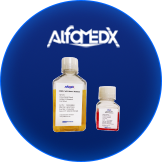 Catalog Culture Media