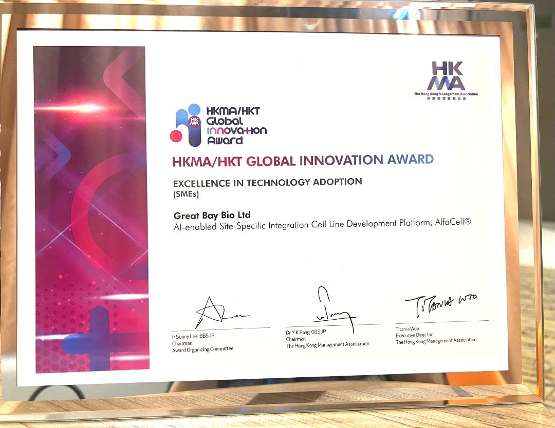 Excellence in Technology Adoption Award