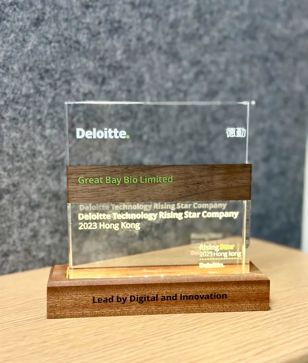 Deloitte Technology Rising Star Company