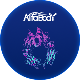 Antibody Design