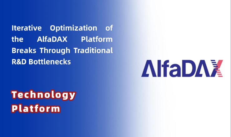 Technology Platform | AI-Enabled Antibody Molecular Engineering: Iterative Optimization of the AlfaDAX Platform Breaks Through Traditional R&D Bottlenecks